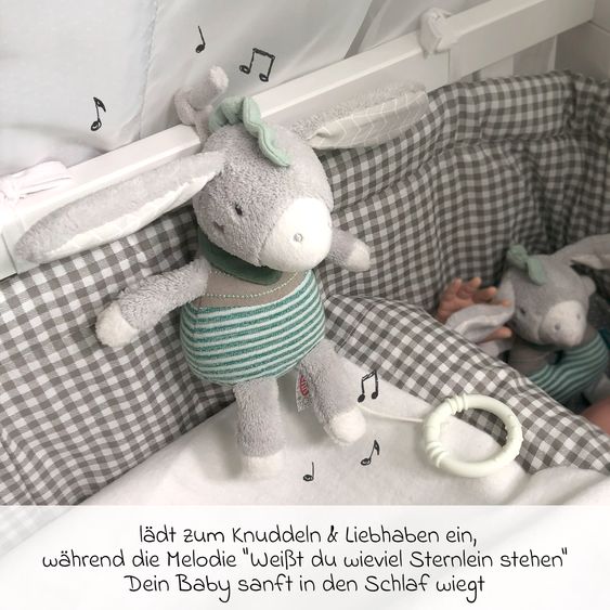 Fehn Set regalo da 3 pezzi per la nascita di un asinello esclusivo - carillon + panno per le coccole + giocattolo da afferrare