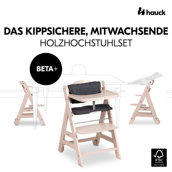 Hauck Set per neonati Beta Plus Whitewashed 5 pezzi - Seggiolone + 2in1 Attacco per neonato e dondolo Deluxe, tavola per mangiare, cuscino per la seduta - Grigio Melange