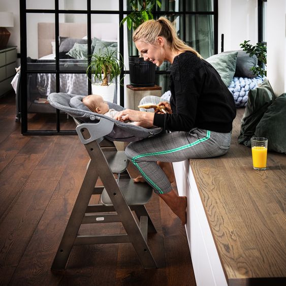 Hauck Seggiolone Alpha Plus Select - Carbone / Grigio scuro